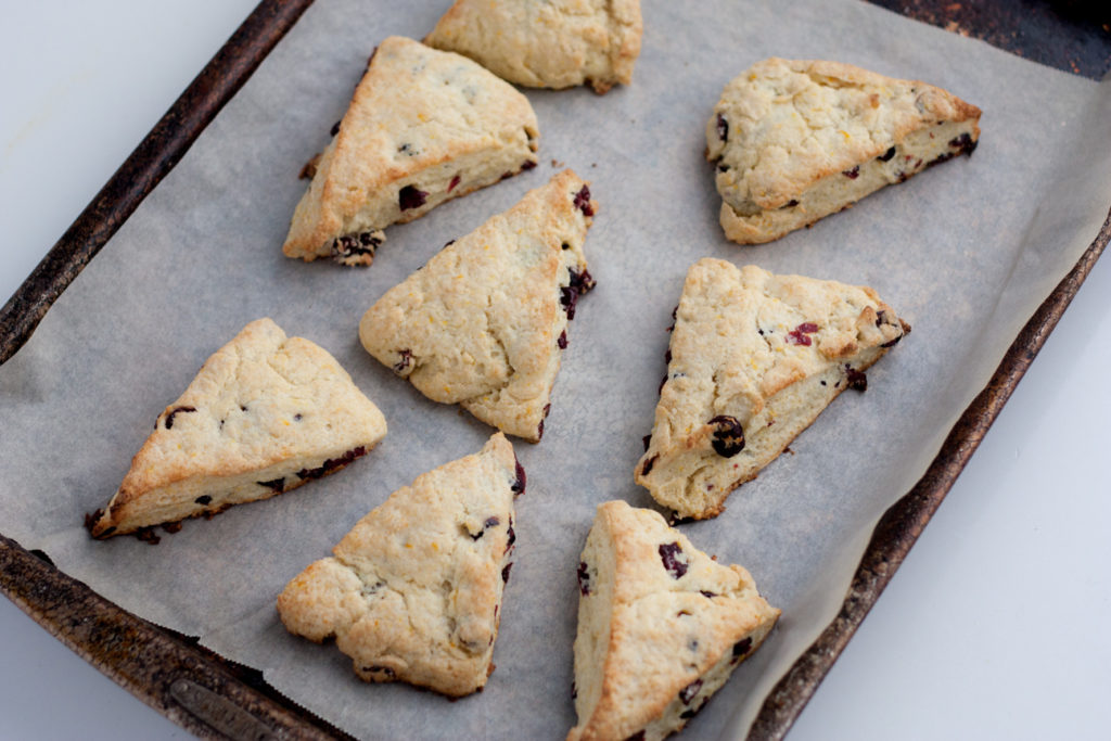 orange cranberry scones on a baking pan