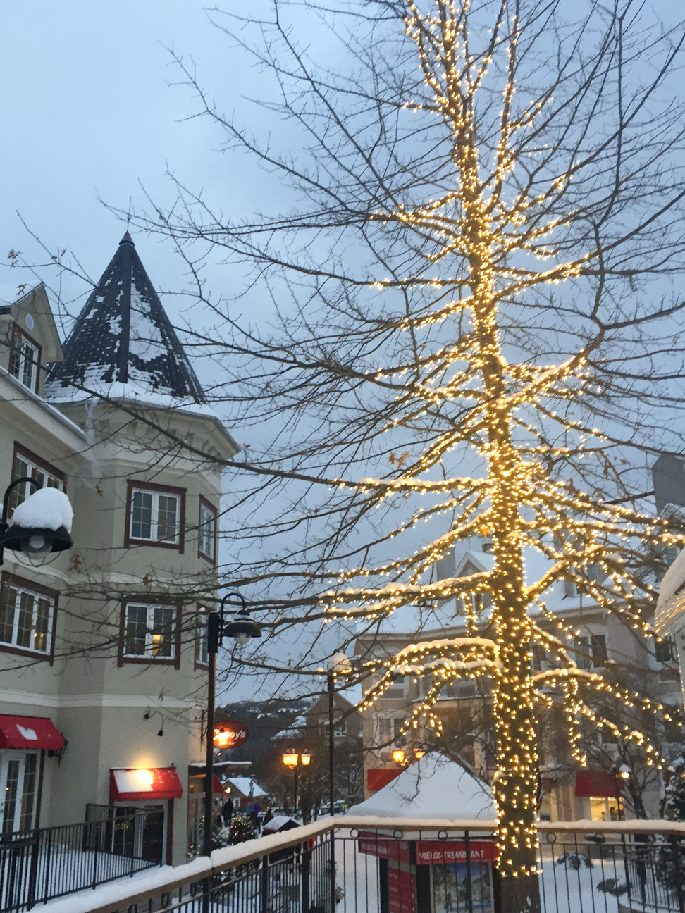 tree covered in golden Christmas lights