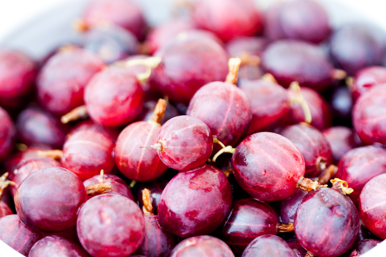 fresh red gooseberries