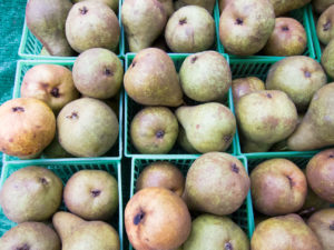 bosc pears at Ottawa Farmer's Markets
