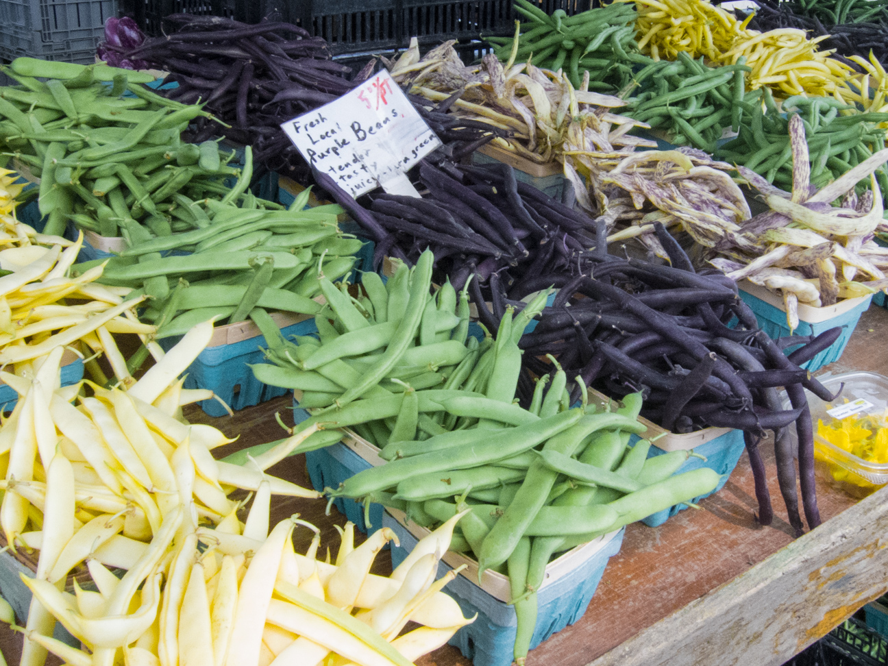 beans at Ottawa Farmer's Market