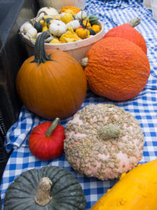 gourds and pumpkins at Ottawa Farmer's Market
