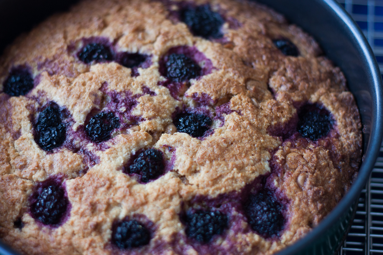 salted caramel blackberry cake