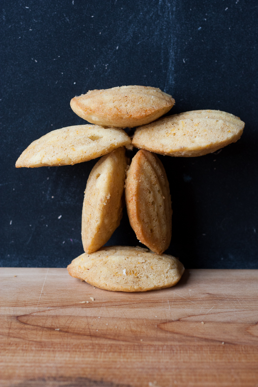 Hazelnut madeleines with frangelico cream