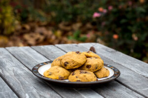 pumpkin chocolate chip cookies on a plate on a table