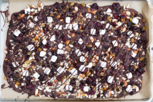 a tray of chocolate and dried fruit and nuts
